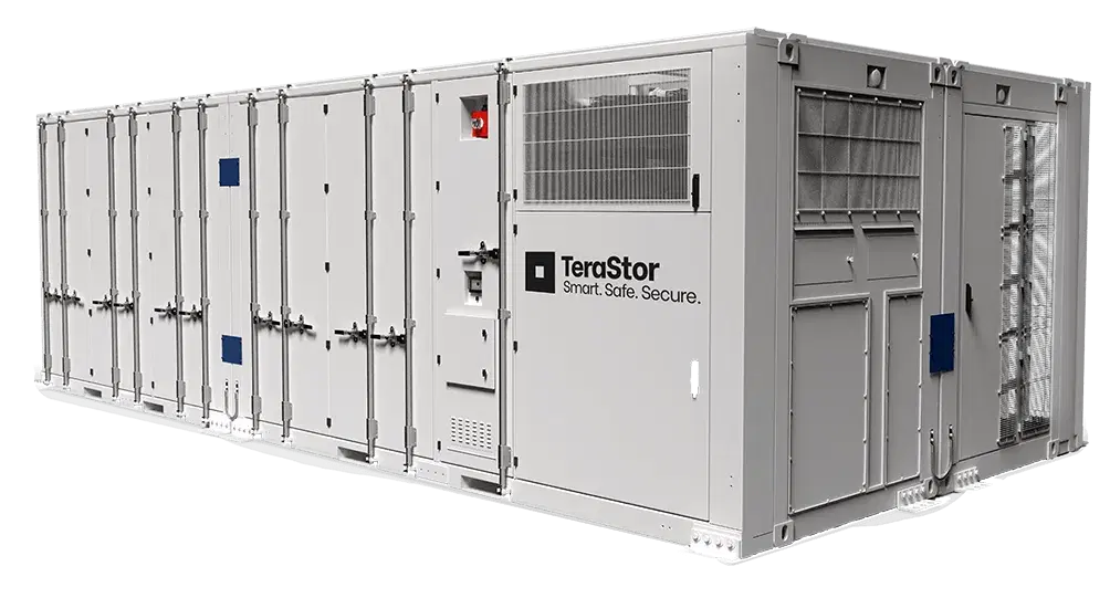 TeraStor P8000